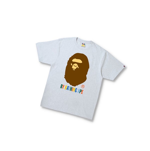 Pánské Tričko A BATHING APE Bape Colors By Bathing Ape Tee Krátké Sleeve Šedé | BAJXL-8015
